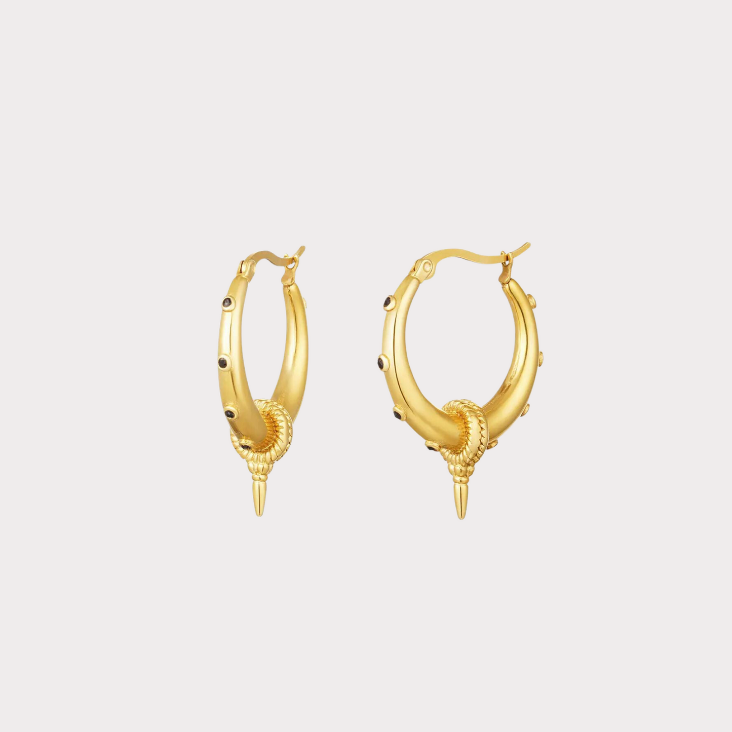 Taylor Hoops
