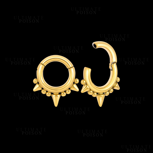 Prick ear weights