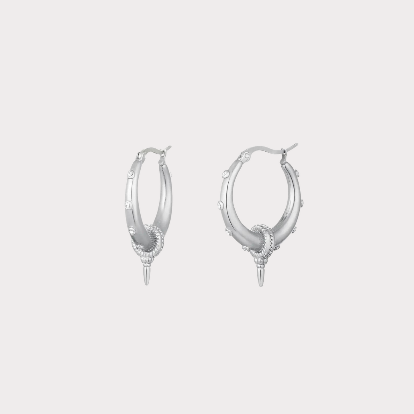 Taylor Hoops