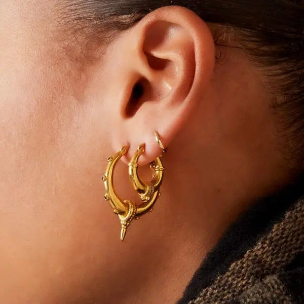 Taylor Hoops
